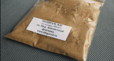 Jak se vypořádat s rzí na listech jabloní, jak ošetřit a co dělat